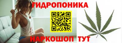 эйфоретик Заволжье